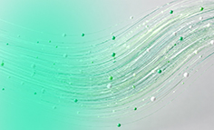 Review the Evaluation Framework For Layer 1 and Layer 2 Blockchain Networks.