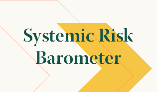 Systemic Risk Barometer Surveys