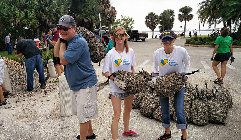 Employees volunteering to help the environment